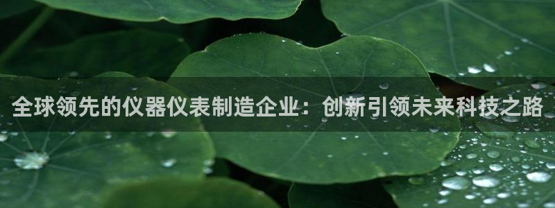 欧星娱乐：全球领先的仪器仪表制造企业：创新引领未来科技之路