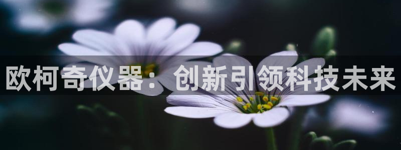 欧星娱乐足彩：欧柯奇仪器：创新引领科技未来