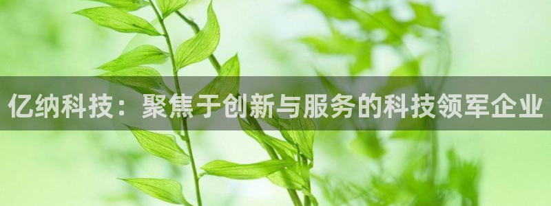 星欧娱乐文化无锡：亿纳科技：聚焦于创新与服务的科技领军企业