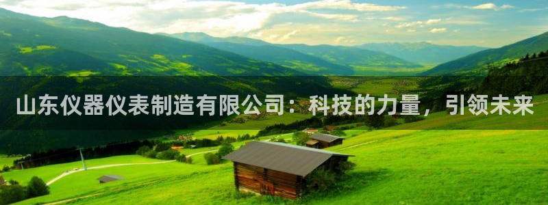 欧星娱乐网址：山东仪器仪表制造有限公司：科技的力量，引领未来