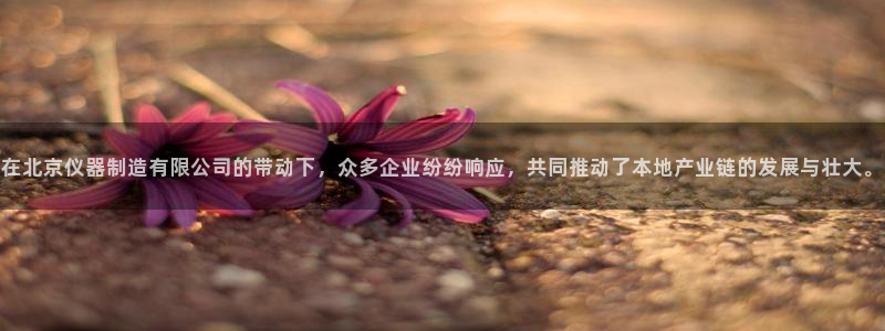 星欧娱乐扣款流程详解：在北京仪器制造有限公司的带动下，众多企