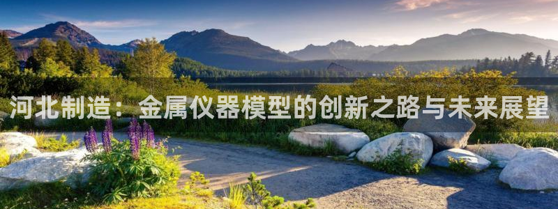 星欧娱乐最新消息今天：河北制造：金属仪器模型的创新之路与未来