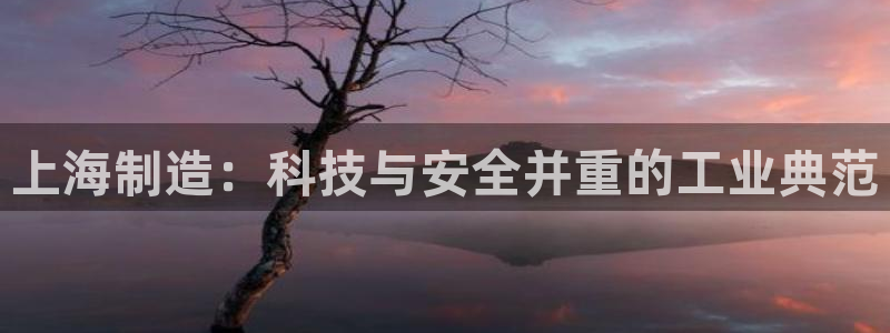 欧星娱乐平台是黑的吗?：上海制造：科技与安全并重的工业典范