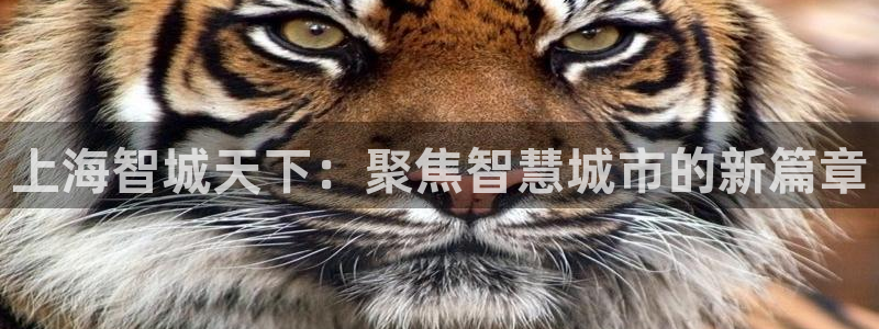 星欧娱乐是正规的吗：上海智城天下：聚焦智慧城市的新篇章