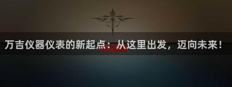 星欧娱乐公司