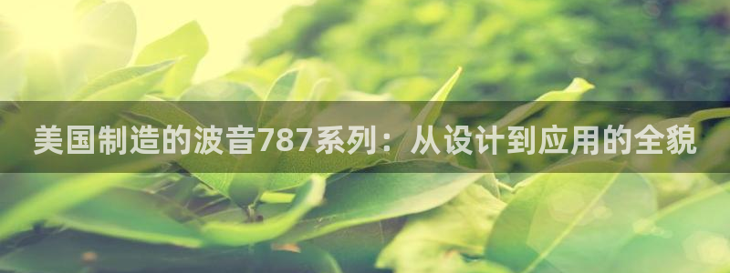 欧星娱乐：美国制造的波音787系列：从设计到应用的全貌