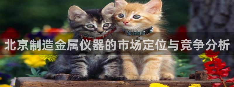 星辉娱乐进入欧联杯了吗：北京制造金属仪器的市场定位与竞争分析