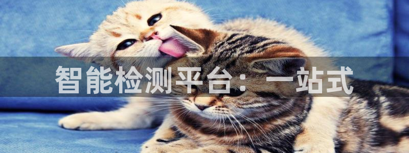 星辉娱乐进入欧连杯：智能检测平台：一站式