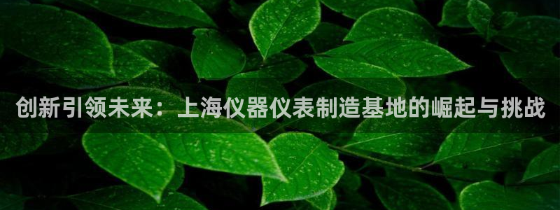 欧乐星城休闲娱乐：创新引领未来：上海仪器仪表制造基地的崛起与