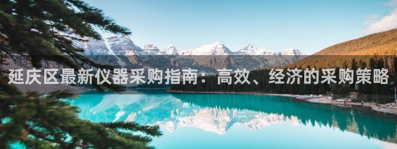星欧娱乐平台怎么样：延庆区最新仪器采购指南：高效、经济的采购