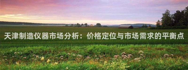 欧星开户娱乐：天津制造仪器市场分析：价格定位与市场需求的平衡