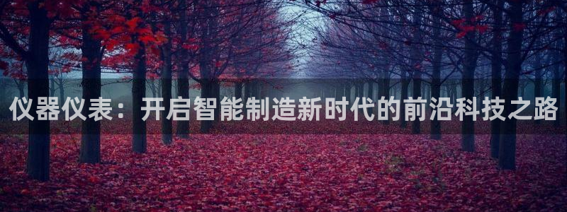 星欧娱乐是什么：仪器仪表：开启智能制造新时代的前沿科技之路