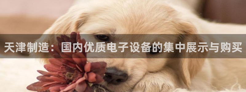 欧汇星娱乐：天津制造：国内优质电子设备的集中展示与购买