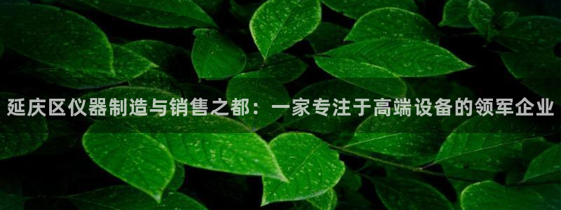 星欧娱乐公司电话号码：延庆区仪器制造与销售之都：一家专注于高