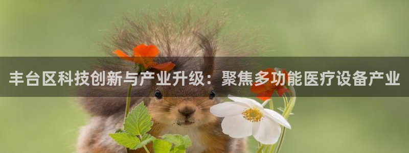 欧星老虎机娱乐：丰台区科技创新与产业升级：聚焦多功能医疗设备