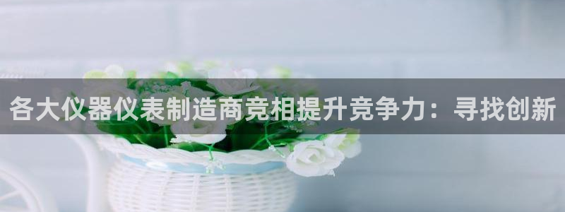 星欧娱乐是什么：各大仪器仪表制造商竞相提升竞争力：寻找创新