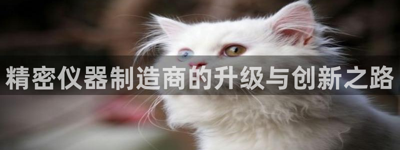星欧娱乐下载官网：精密仪器制造商的升级与创新之路
