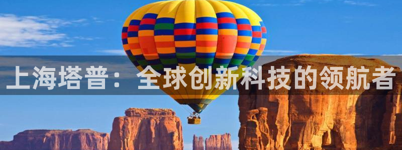 星欧娱乐app登录入口：上海塔普：全球创新科技的领航者