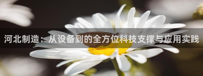 欧星娱乐网址无脑赚：河北制造：从设备到的全方位科技支撑与应用
