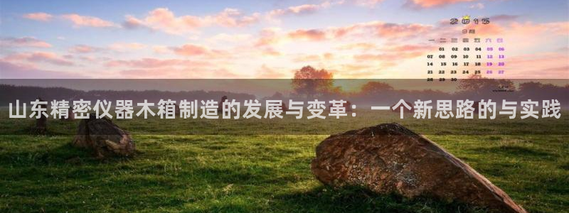 星辉娱乐进入欧联杯：山东精密仪器木箱制造的发展与变革：一个新