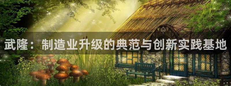 星欧娱乐公司电话号码：武隆：制造业升级的典范与创新实践基地