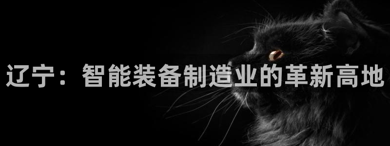 星欧娱乐登陆：辽宁：智能装备制造业的革新高地