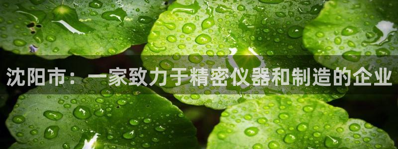 欧星娱乐视频：沈阳市：一家致力于精密仪器和制造的企业