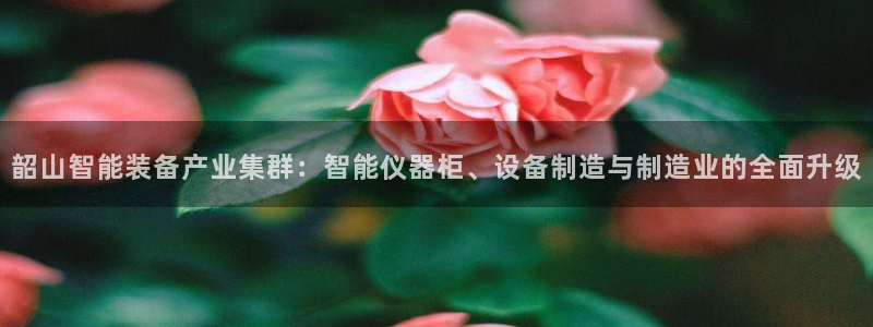 欧星娱乐最新地址：韶山智能装备产业集群：智能仪器柜、设备制造
