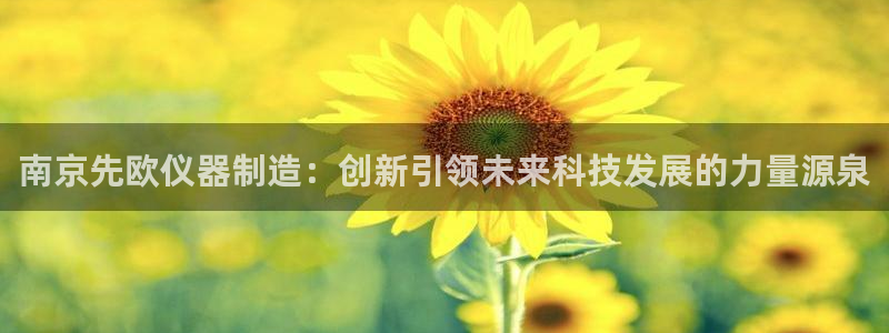 星欧娱乐掌7O777：南京先欧仪器制造：创新引领未来科技发展