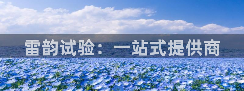 星欧娱乐伐官网注册：雷韵试验：一站式提供商