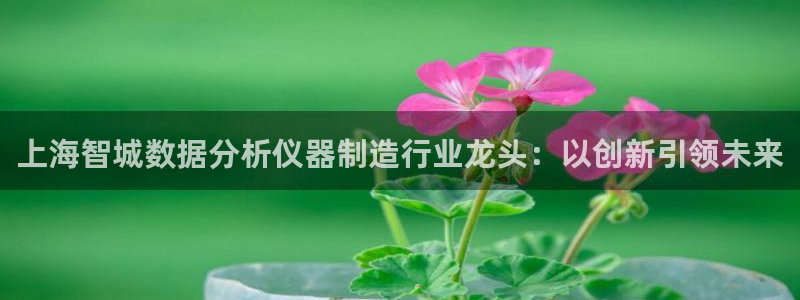 星欧娱乐黑科技是正规的吗：上海智城数据分析仪器制造行业龙头：