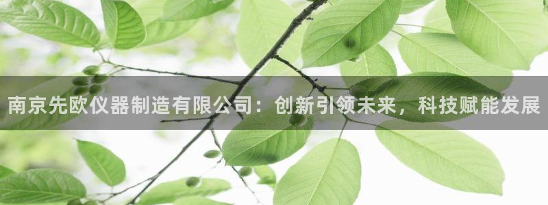 星欧娱乐2024：南京先欧仪器制造有限公司：创新引领未来，科