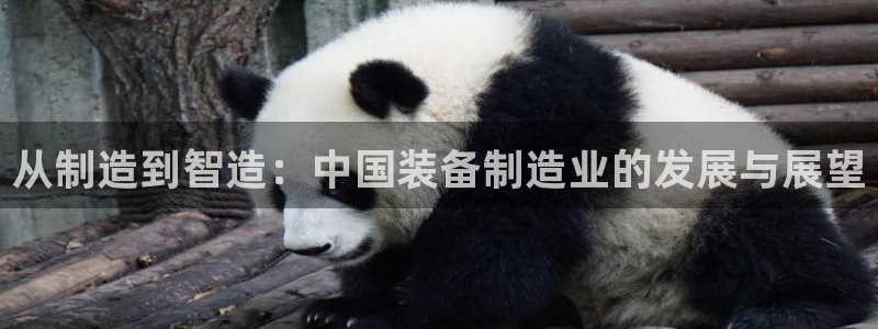 欧星开户娱乐：从制造到智造：中国装备制造业的发展与展望