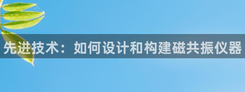 星欧娱乐娱乐是正规的吗：先进技术：如何设计和构建磁共振仪器