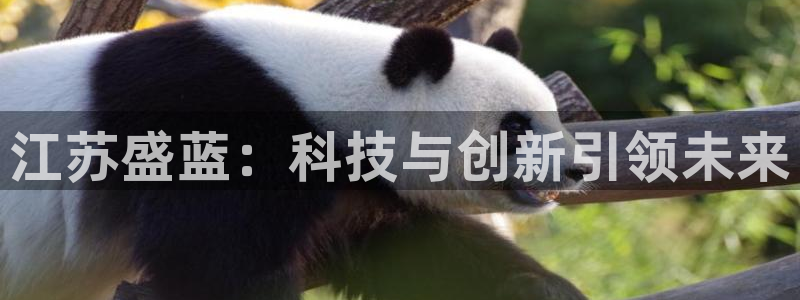 星欧娱乐赞7O777：江苏盛蓝：科技与创新引领未来