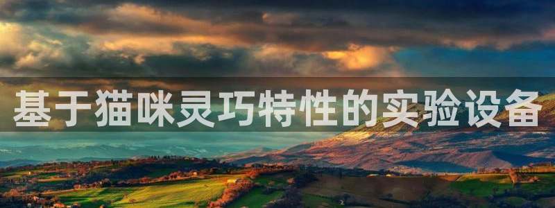 欧米星创文化娱乐：基于猫咪灵巧特性的实验设备