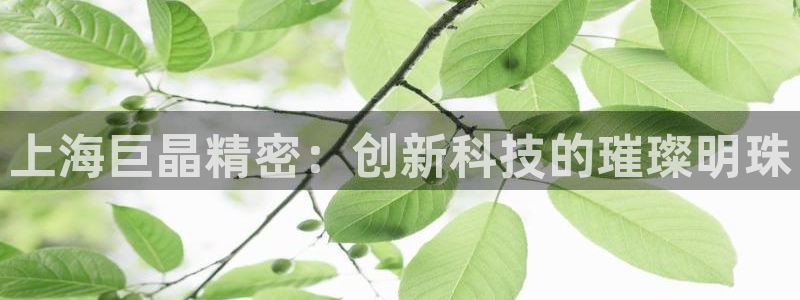 星欧娱乐的官方网站：上海巨晶精密：创新科技的璀璨明珠