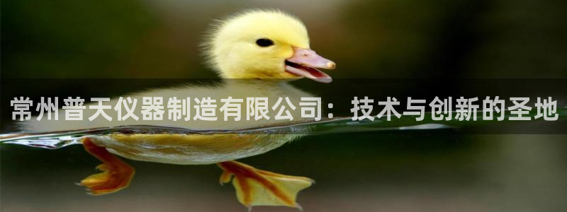 星欧娱乐平台测速线路：常州普天仪器制造有限公司：技术与创新的