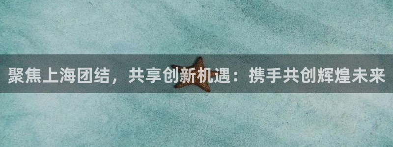 星欧娱乐平台注册入口：聚焦上海团结，共享创新机遇：携手共创辉