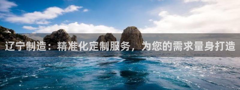 星娱乐欧嘉78778：辽宁制造：精准化定制服务，为您的需求量