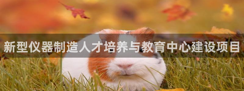 星欧娱乐是什么平台：新型仪器制造人才培养与教育中心建设项目