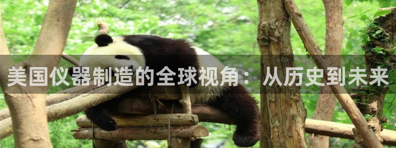 星欧娱乐官网在线登录：美国仪器制造的全球视角：从历史到未来