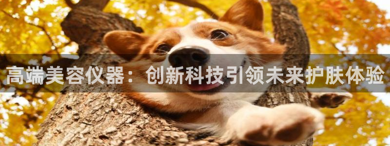 亚星娱乐欧瘫威sky133688：高端美容仪器：创新科技引领
