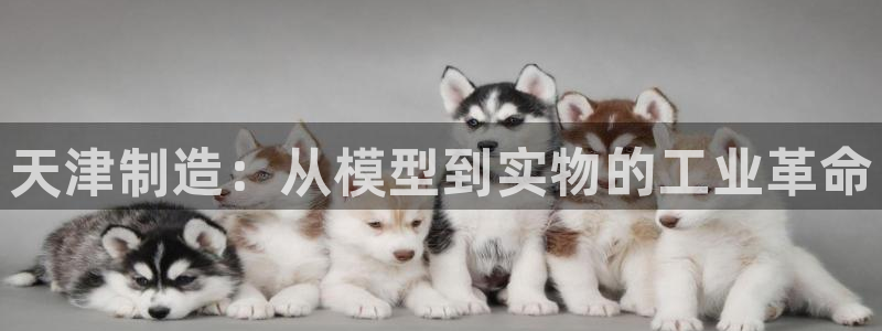 星欧娱乐平台是什么：天津制造：从模型到实物的工业革命
