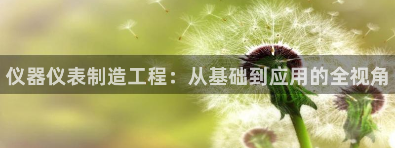 星欧娱乐扣款流程详解：仪器仪表制造工程：从基础到应用的全视角