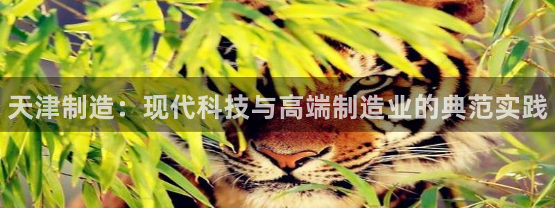 星欧娱乐官网登录入口：天津制造：现代科技与高端制造业的典范实