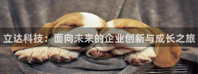 星欧娱乐公司老板背景：立达科技：面向未来的企业创新与成长之旅