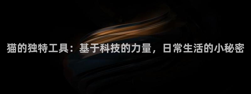 欧乐星城团购娱乐：猫的独特工具：基于科技的力量，日常生活的小