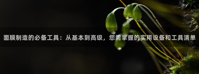 欧星娱乐平台是黑的吗：面膜制造的必备工具：从基本到高级，您需