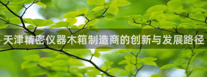 星欧娱乐官网在线登录：天津精密仪器木箱制造商的创新与发展路径